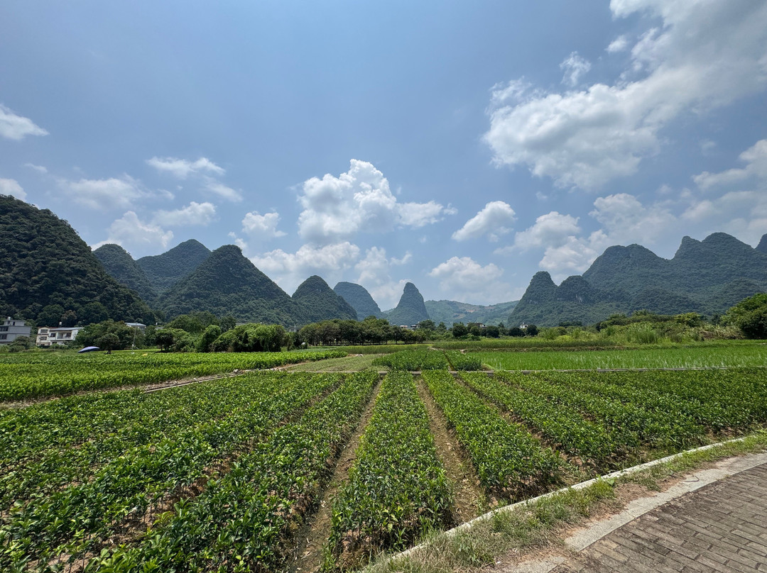 阳朔古迹山水园-阳朔县必去景点