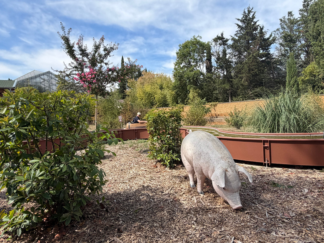 Touroparc Zoo-Romaneche-Thorins必去景点