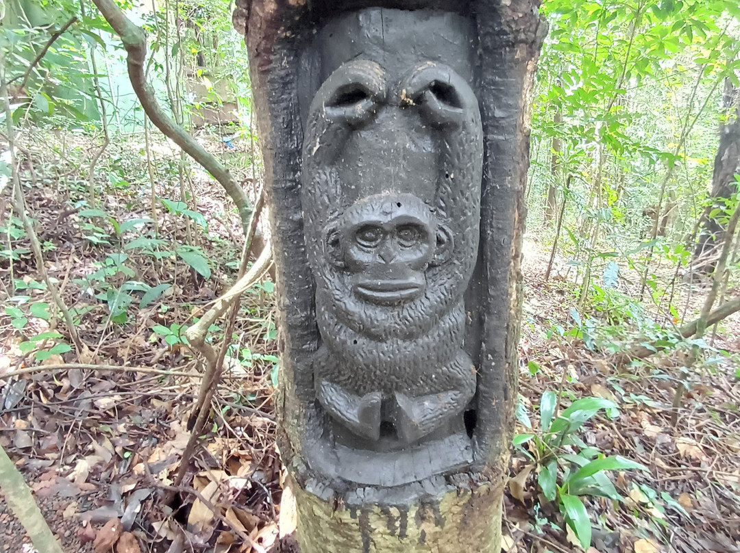 Tacugama Chimpanzee Sanctuary-弗里敦必去景点