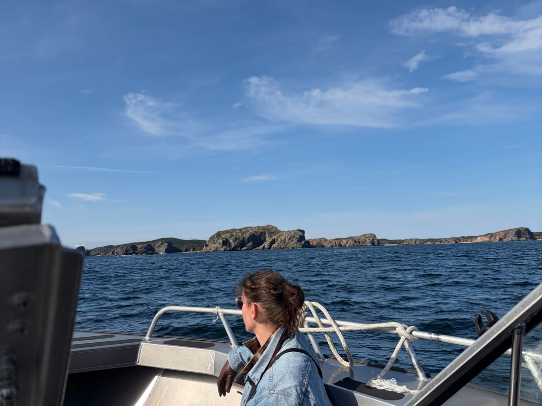 Capt. Dave's Boat Tours-Twillingate必去景点