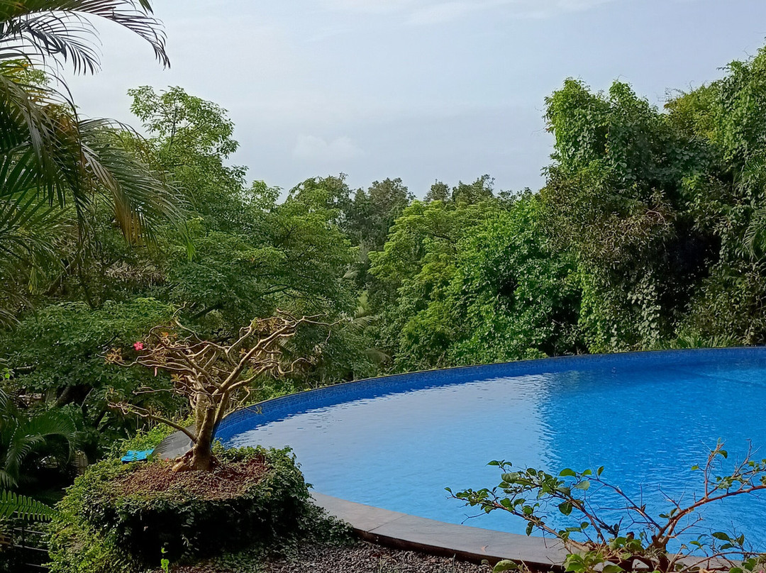 Capella Forest Retreat & Homestay主图