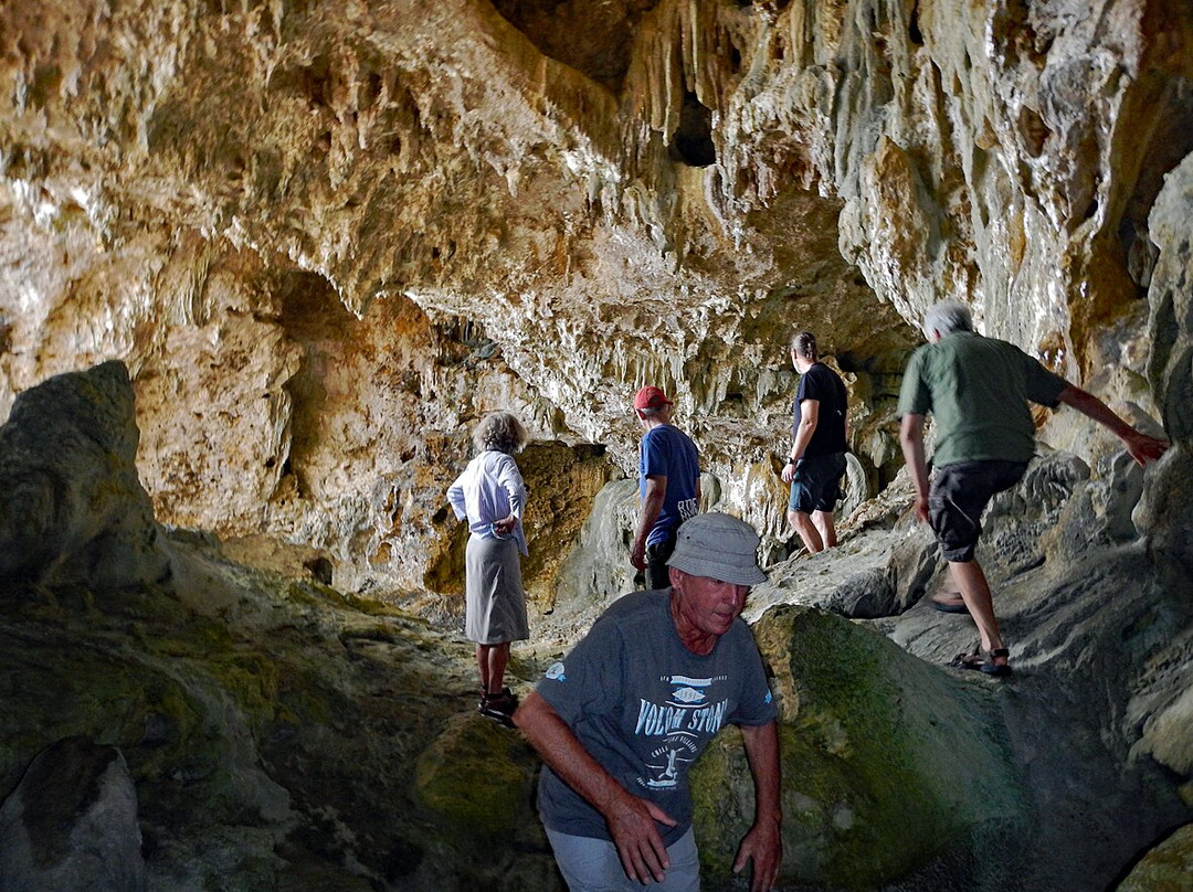 Niue OrientationTour-阿洛菲必去景点