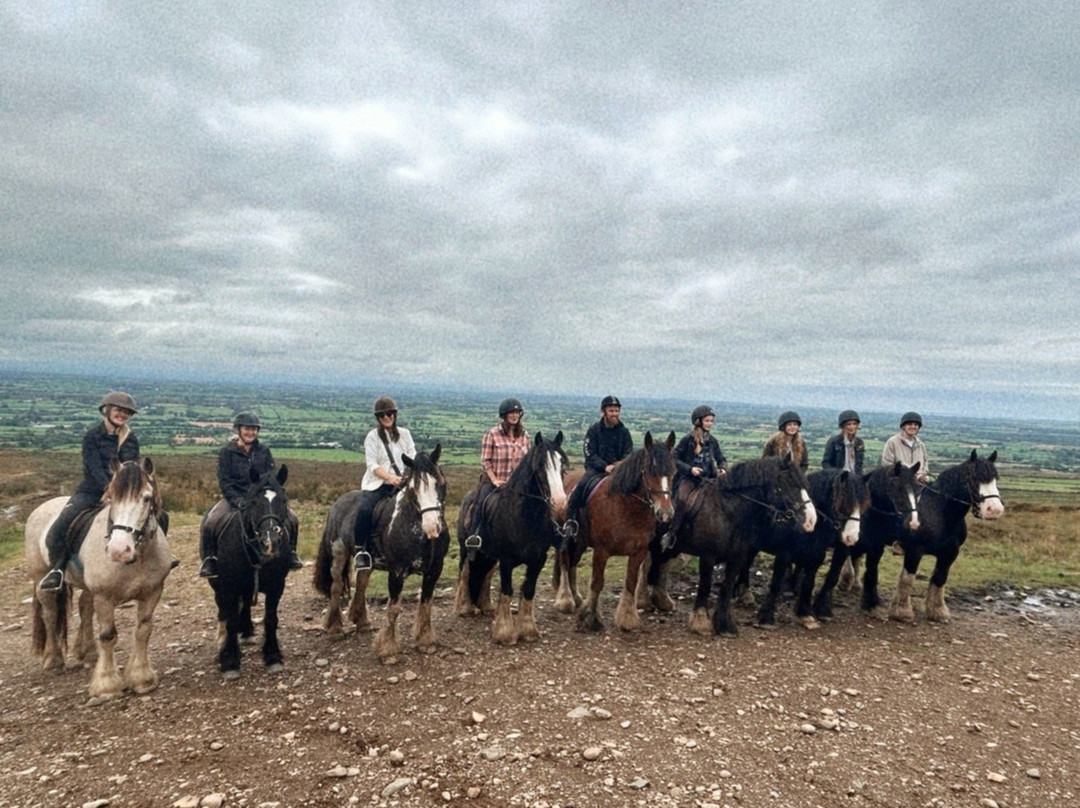 Sheans Horse Farm-Armoy必去景点