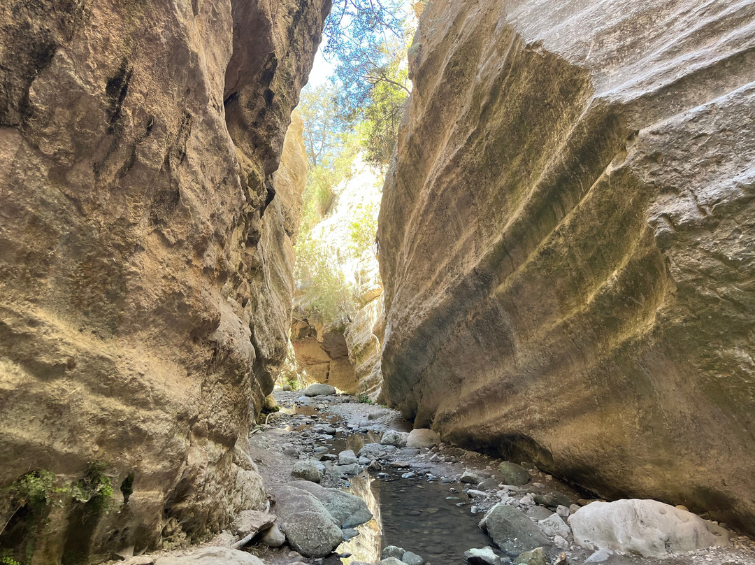 Avakas Gorge-帕福斯必去景点
