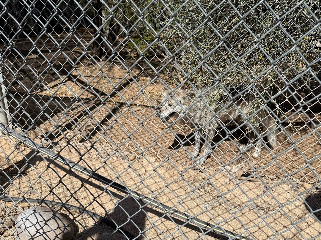 Southwest Wildlife Conservation Center-斯科茨代尔必去景点