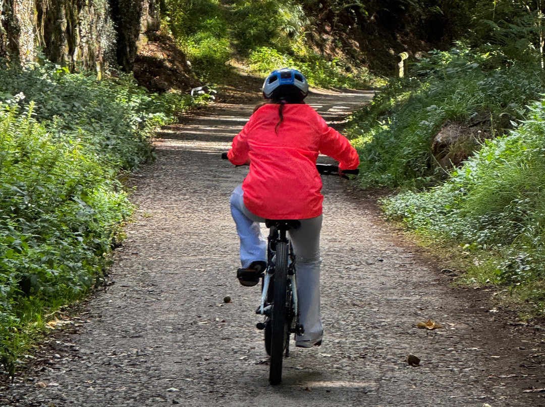 Senda Del Oso Experience - Teverastur-Teverga Municipality必去景点
