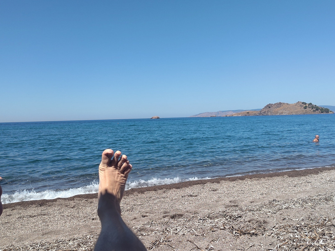 Anaxos Beach-Anaxos必去景点