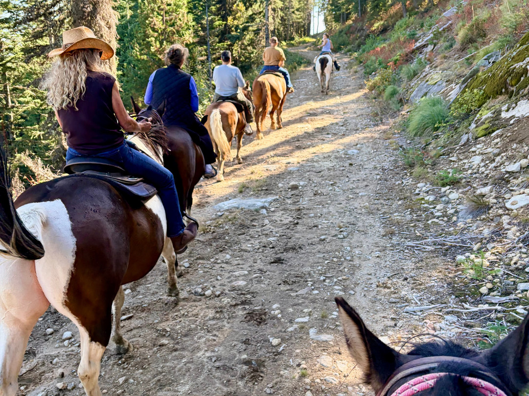 Mountain Horse Adventures-桑德波因特必去景点