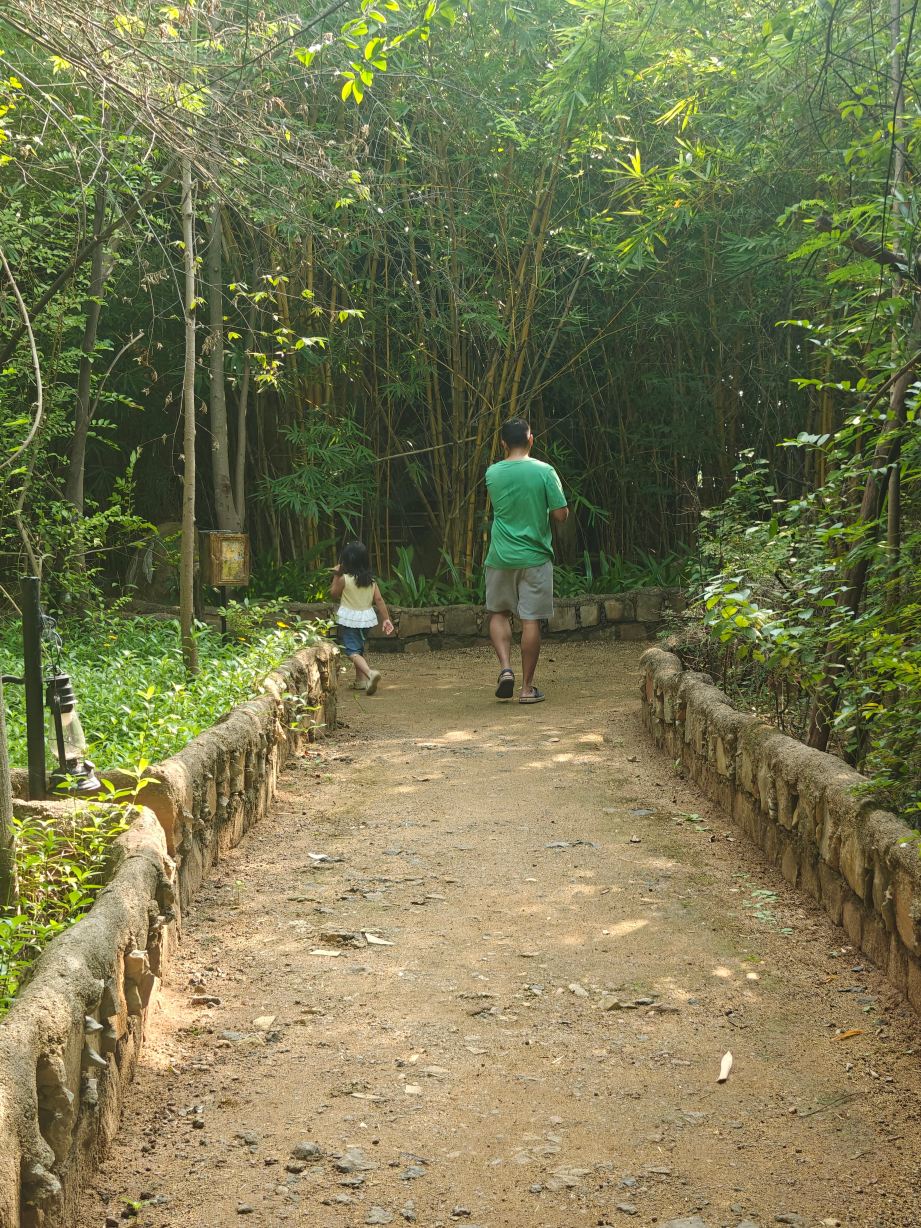 Limban Resort-旅行者