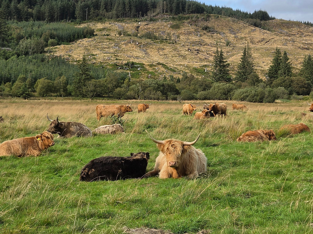 Highland Perceptions-Perth and Kinross必去景点