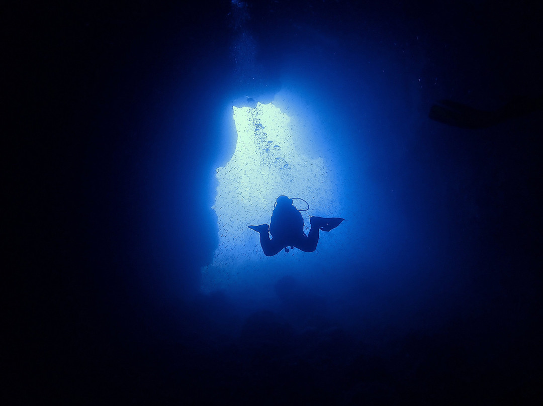 Atalaia Diving Center-Canico必去景点