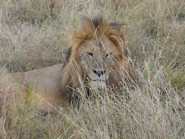 Tanzania Roadside Expeditions-阿鲁沙必去景点