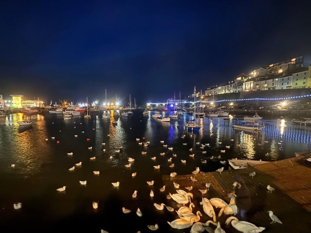 Sampford Harbour Side Guest House主图