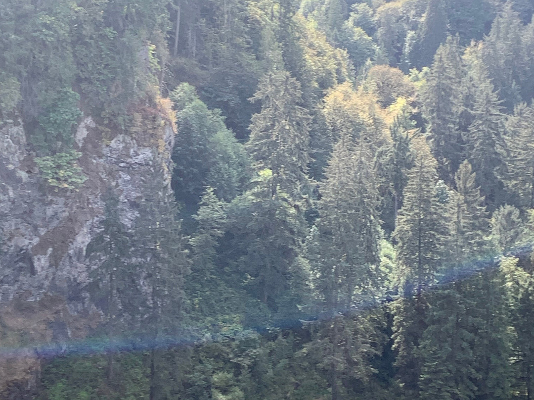 Snoqualmie Falls-斯诺夸尔米必去景点
