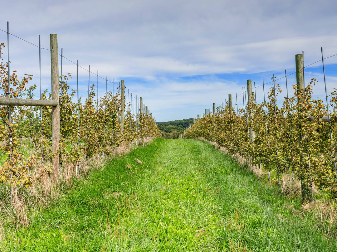 Lyman Orchards-Middlefield必去景点