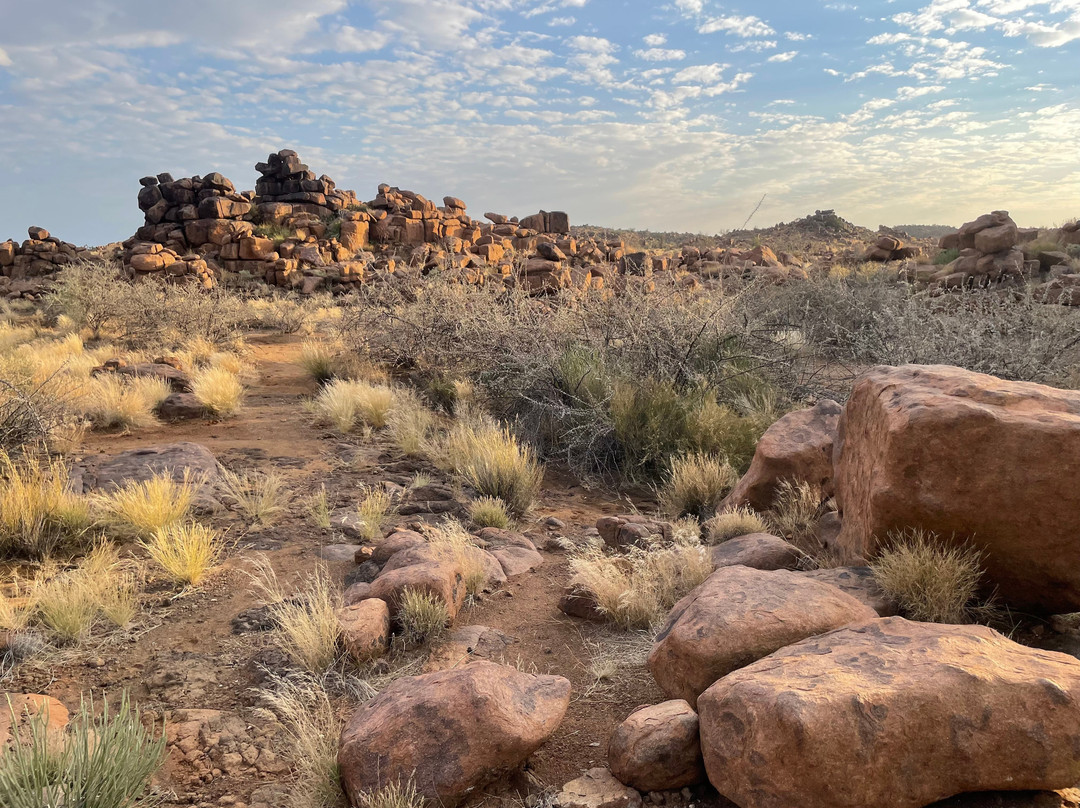Quivertree Forest and Giant's Playground-Keetmanshoop必去景点
