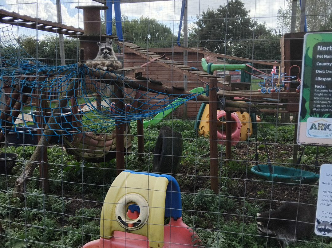 Ark Wildlife Park & Exotic Animal Sanctuary-Stickney必去景点