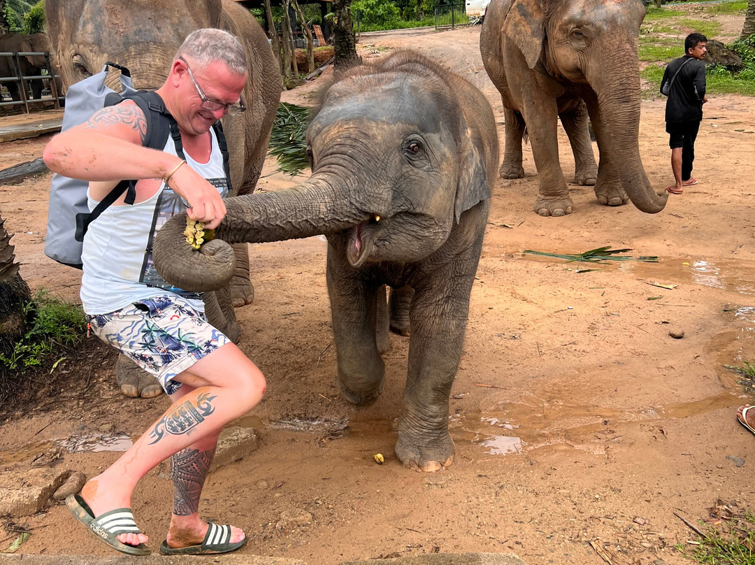 Krabi Elephant House Sanctuary-Sai Thai必去景点