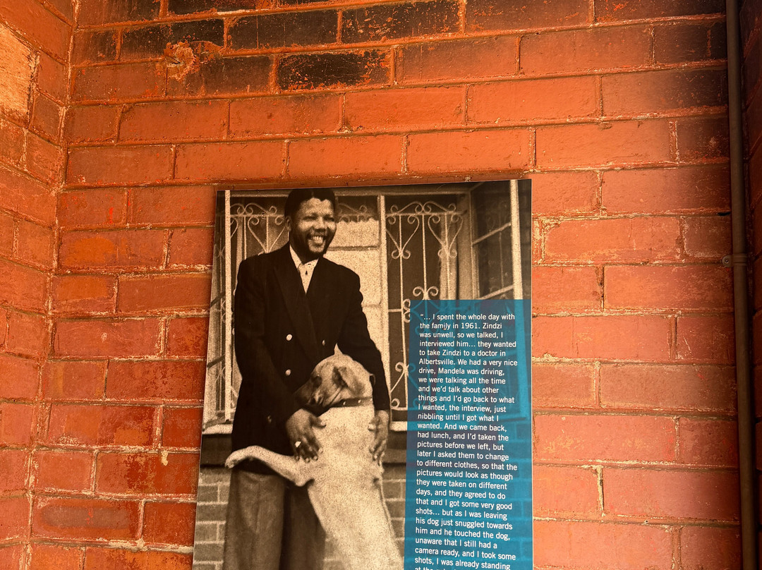Mandela House-索韦托必去景点