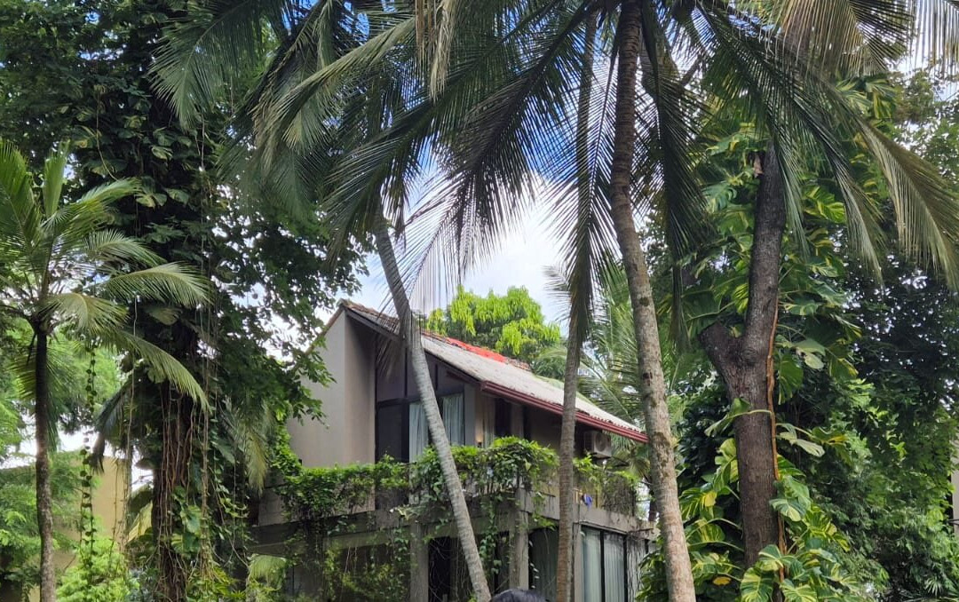 唐加勒棕榈天堂小屋及别墅海滩度假村主图