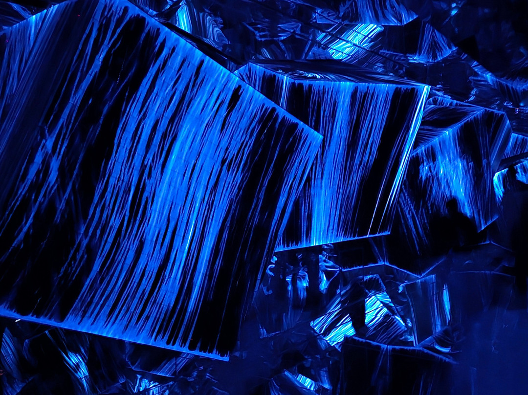 Teamlab Borderless Tokyo-港区必去景点