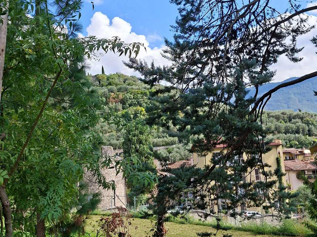 Arboretum of Arco-阿科必去景点