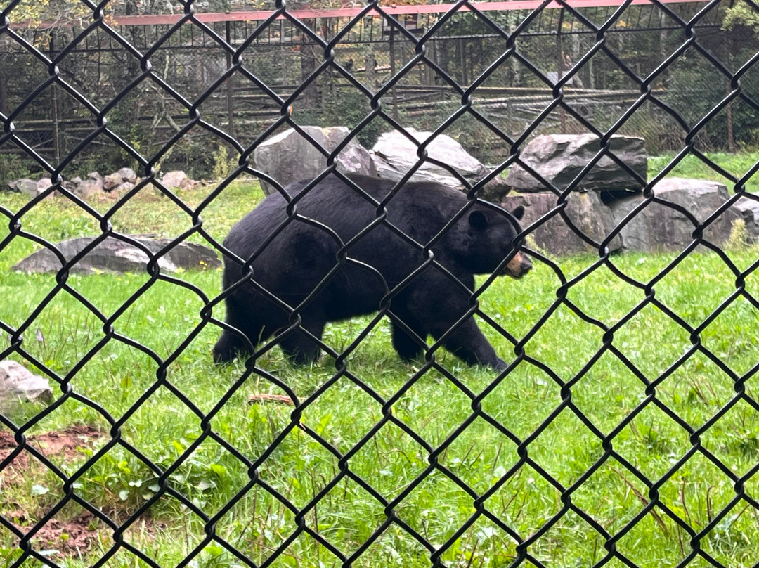 Shubenacadie Wildlife Park-舒贝纳卡迪必去景点