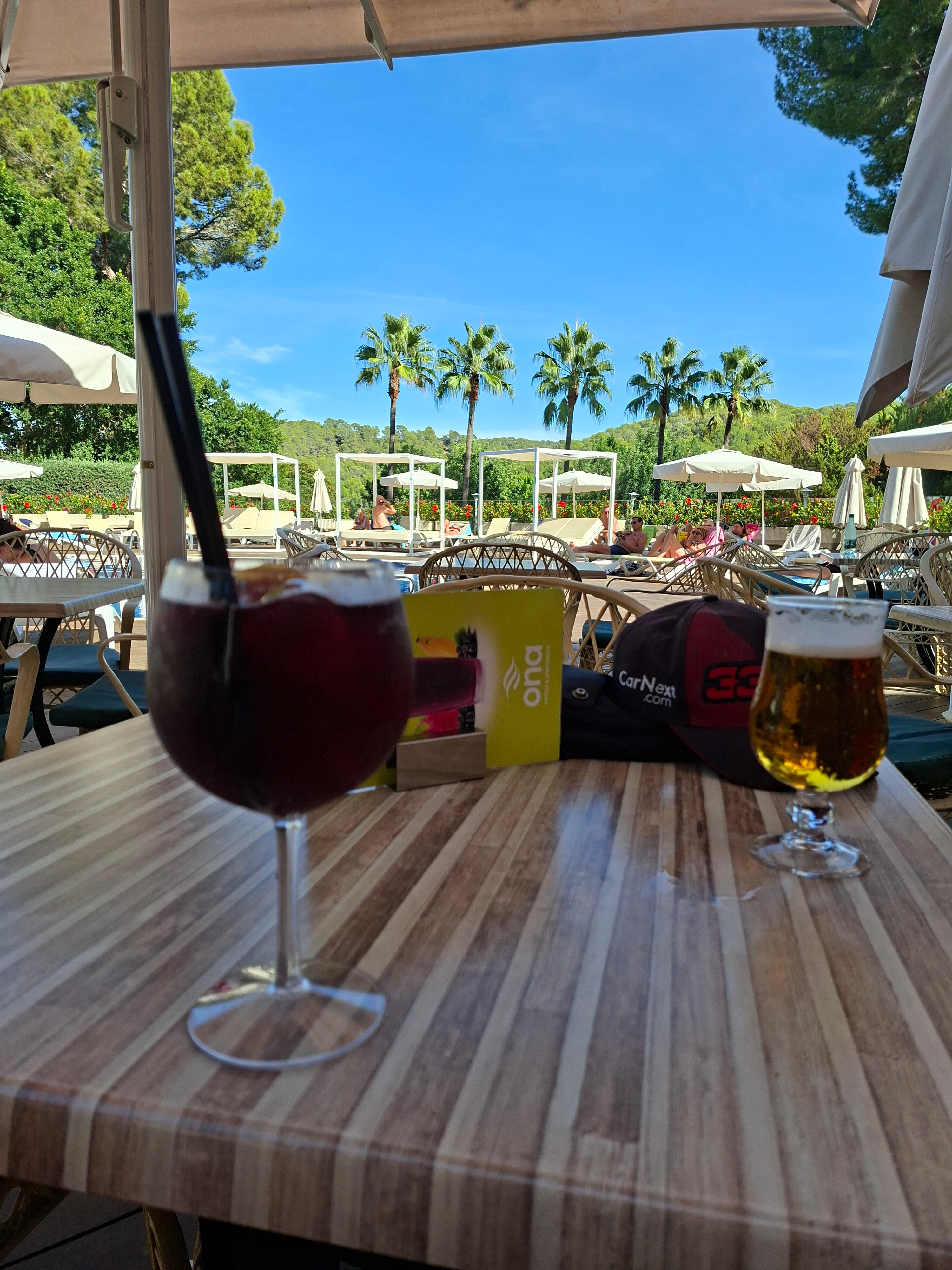Ona Palmira Paradise Paguera-旅行者