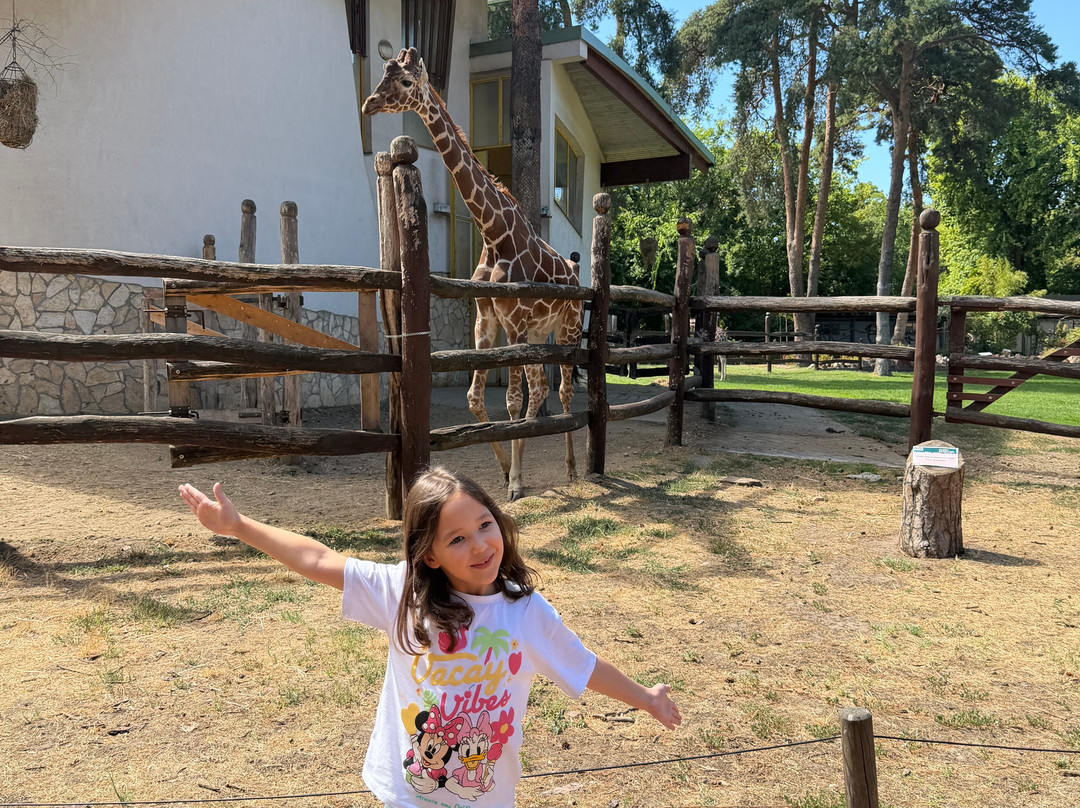 Zoo Debrecen-德布勒森必去景点