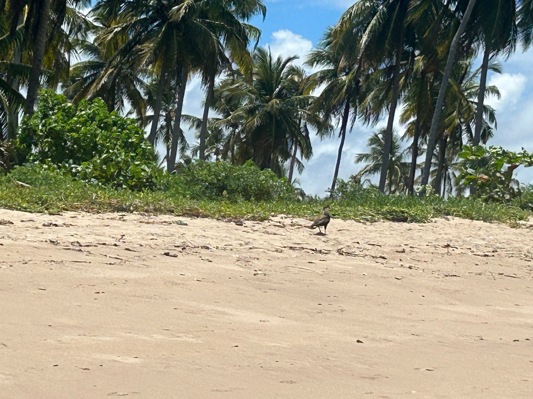 Pousada Vila do Patacho主图