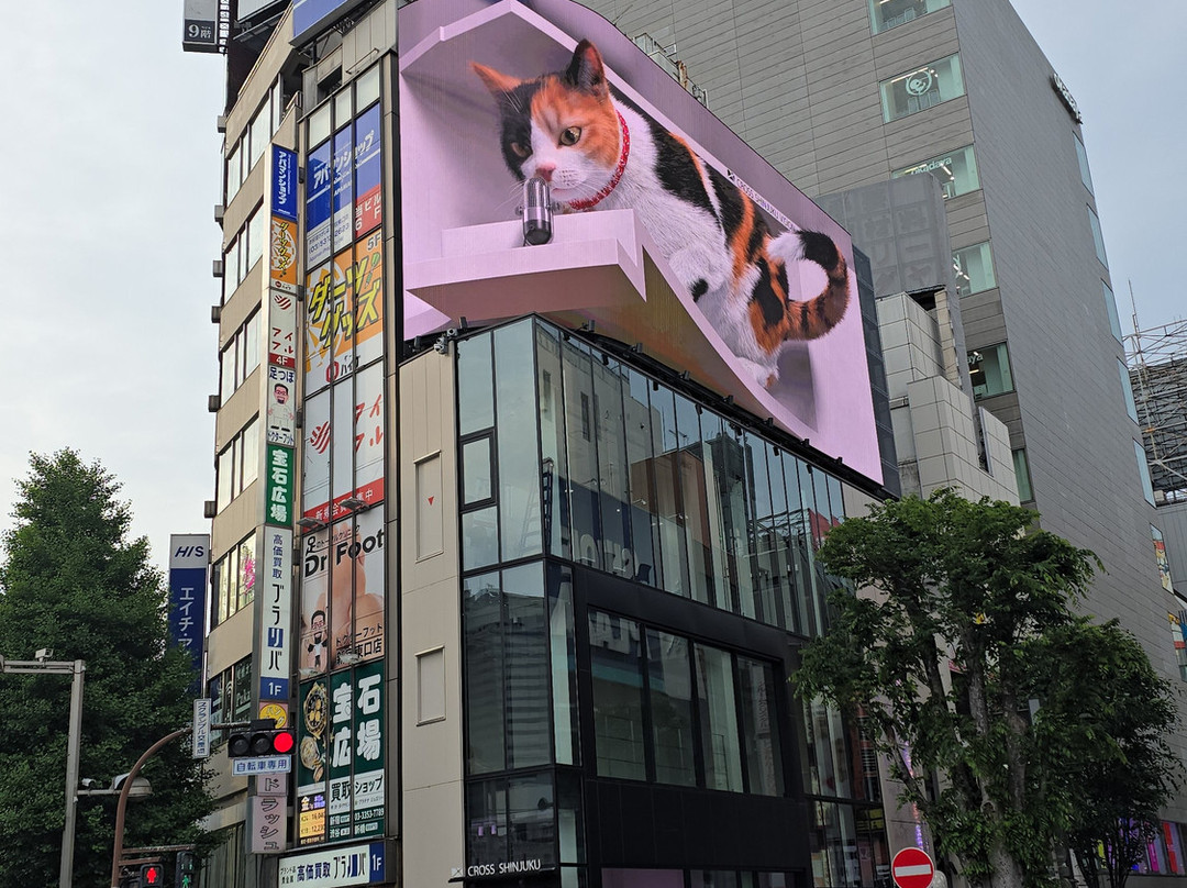 Giant 3d Cat Display Billboard