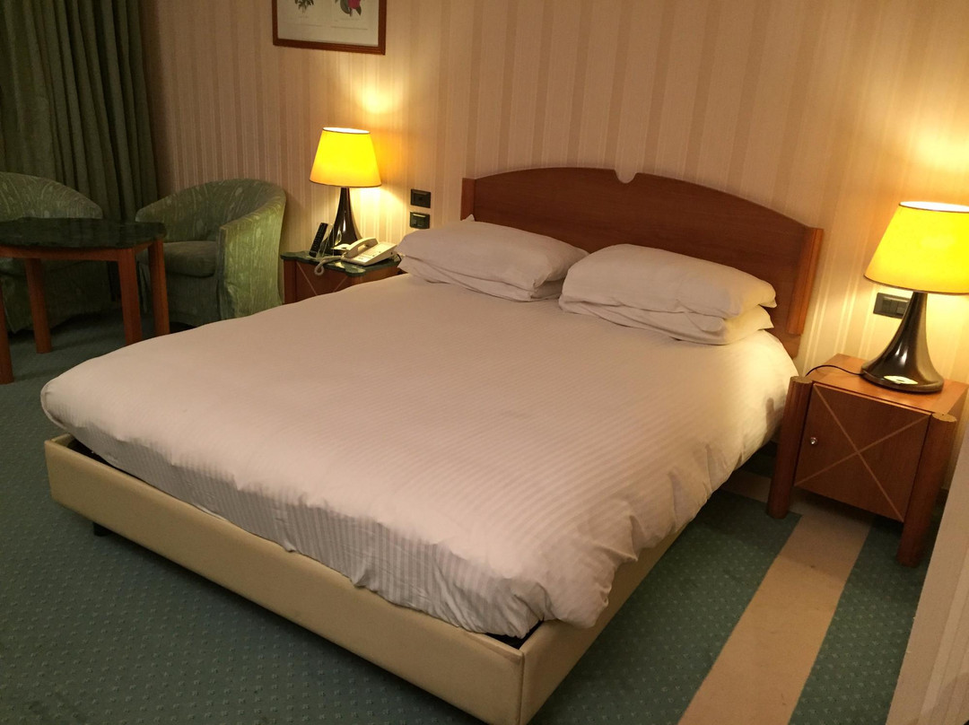 阿斯玛拉酒店住宿-Hotel Asmara Palace