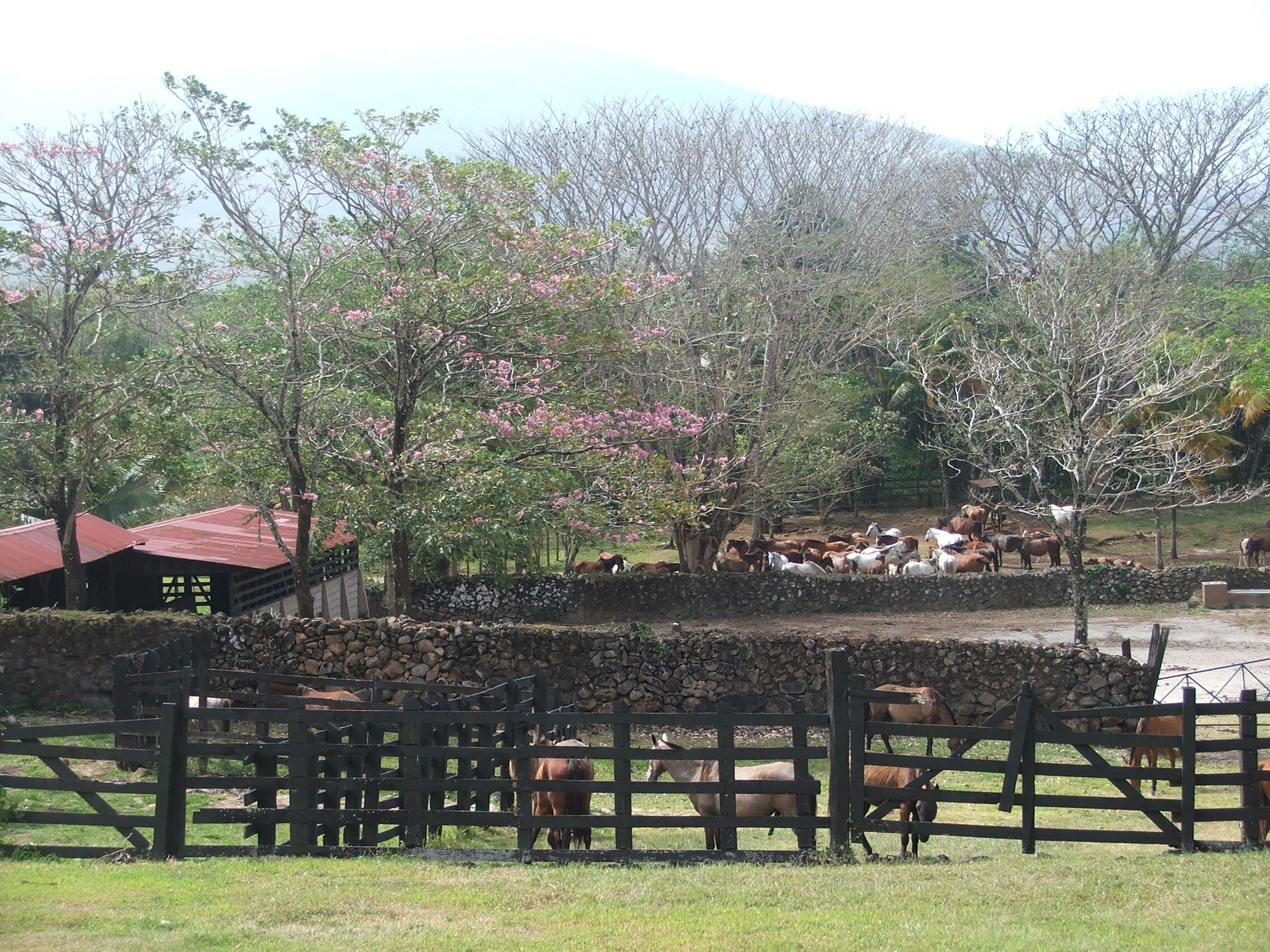 Los Inocentes Lodge-浴室