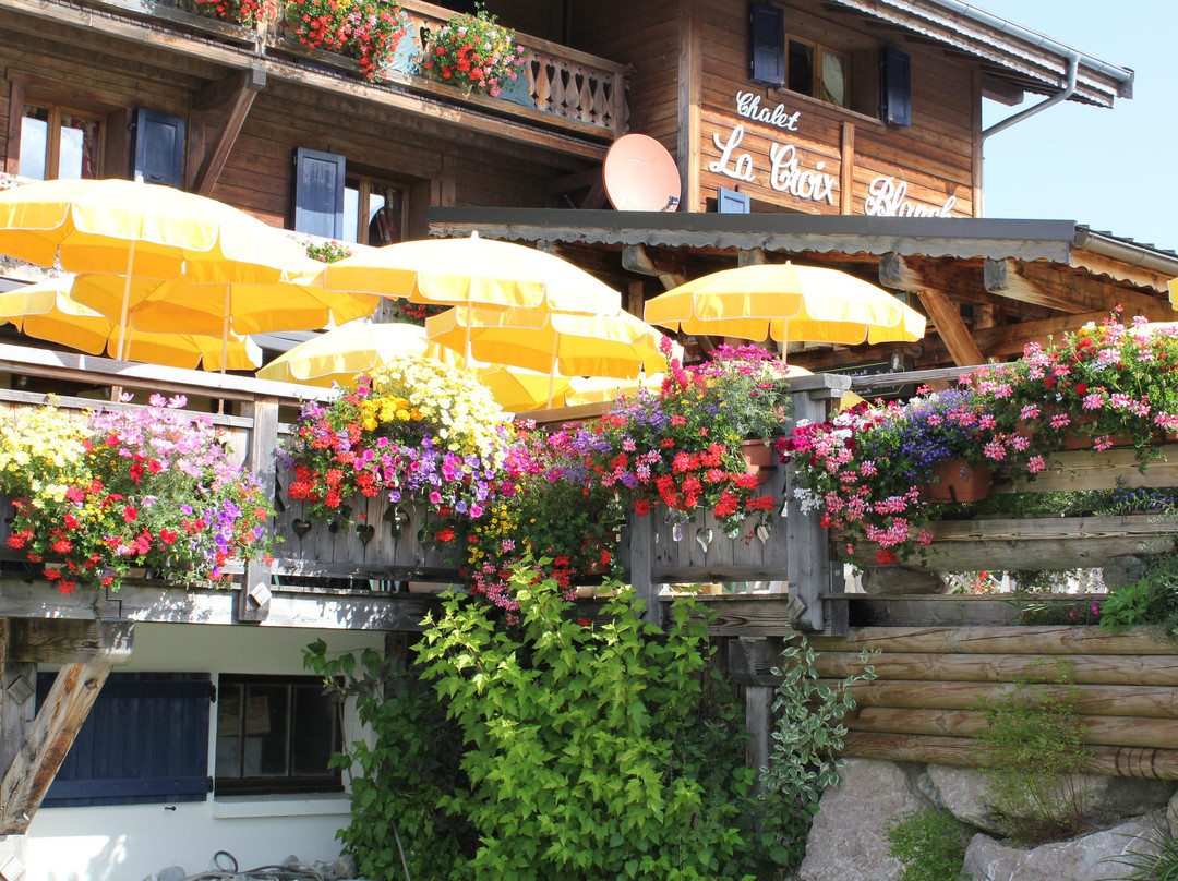 Chalet la Croix Blanche Hotel