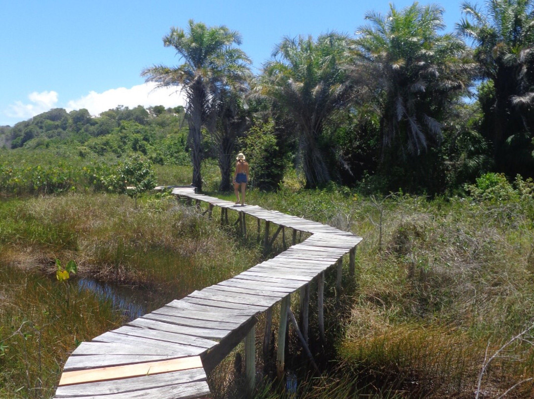 Costa Do Sauipe酒店住宿-Pousada Too Cool
