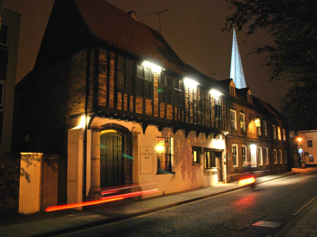 Tudor Rose