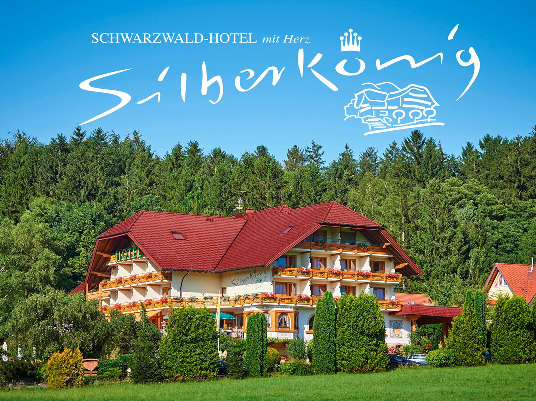 Hotel Silberkönig主图