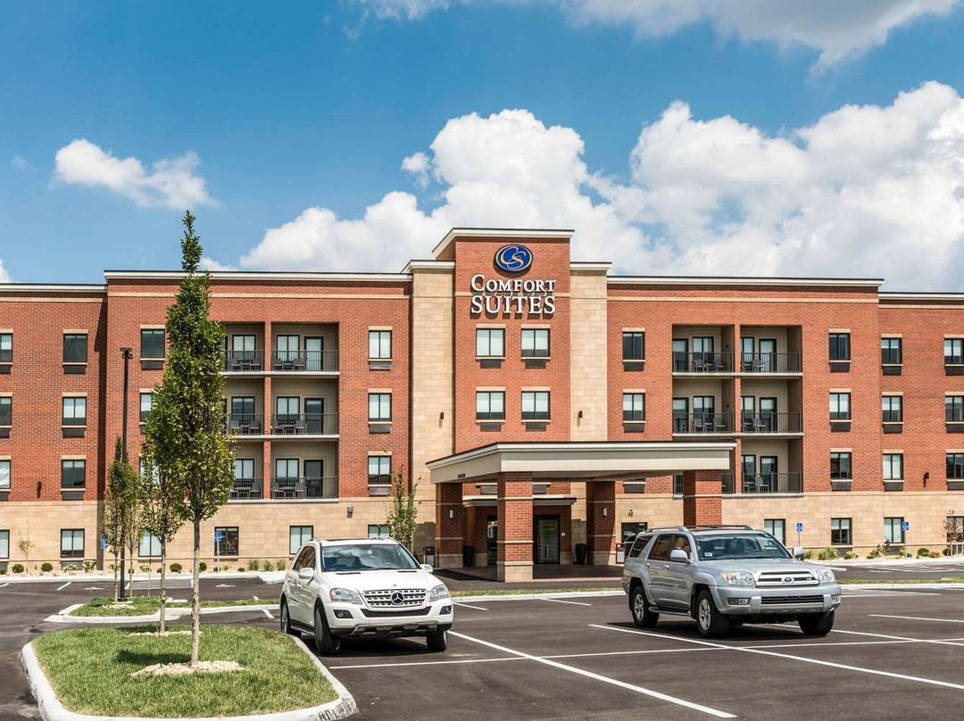 Comfort Suites Florence - Cincinnati South主图