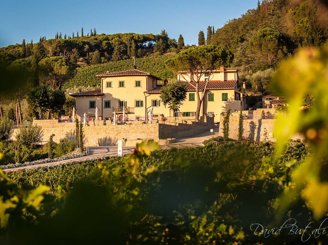 Villa Cilnia