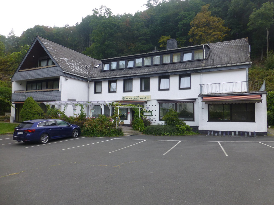 Hotel Zum gunen Wald