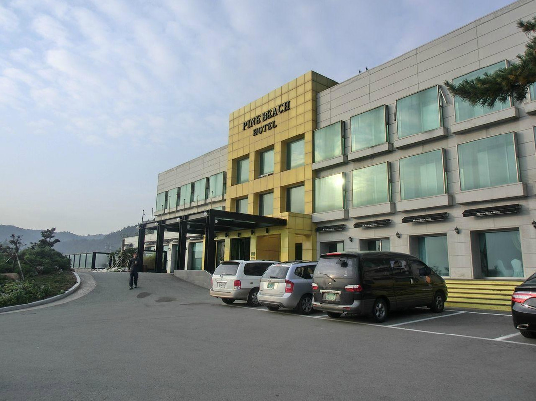 浦项市酒店住宿-Pine Beach Hotel
