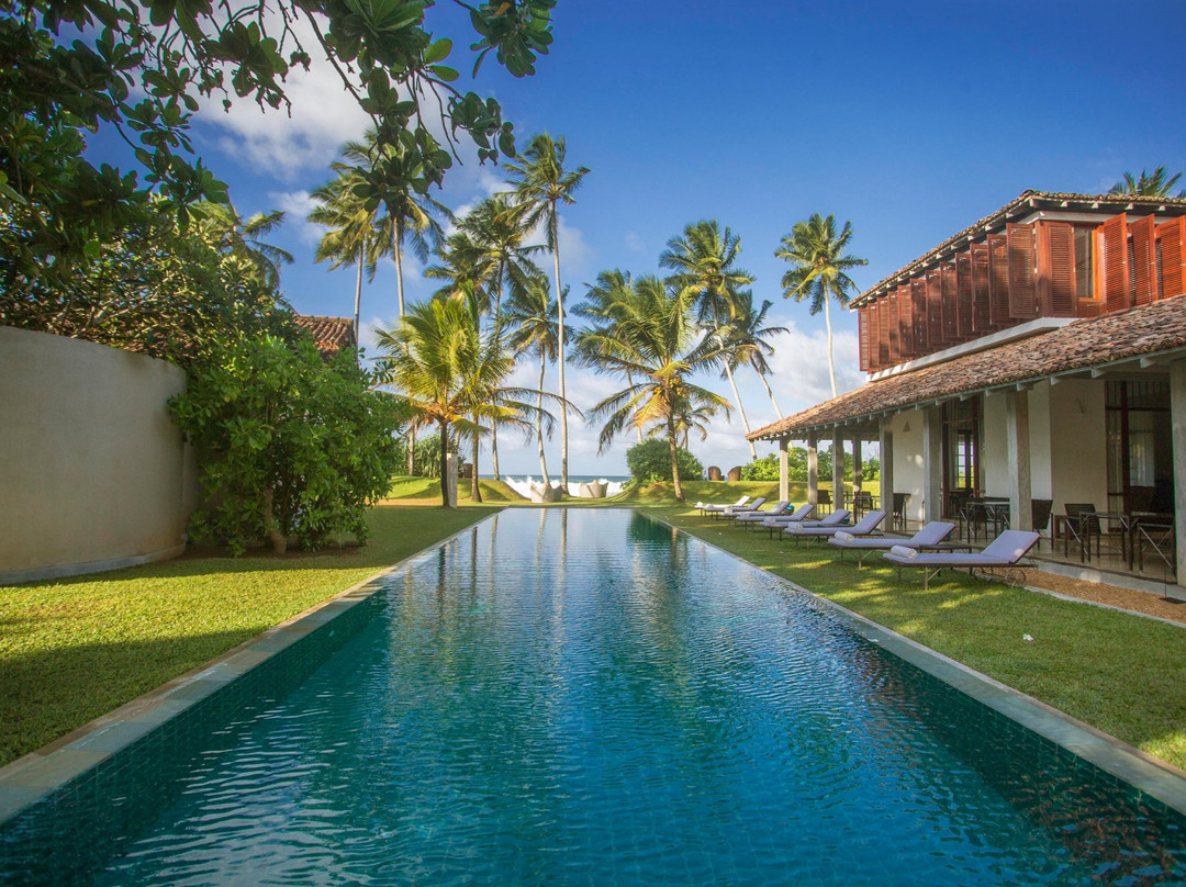 树的弗兰吉帕尼酒店