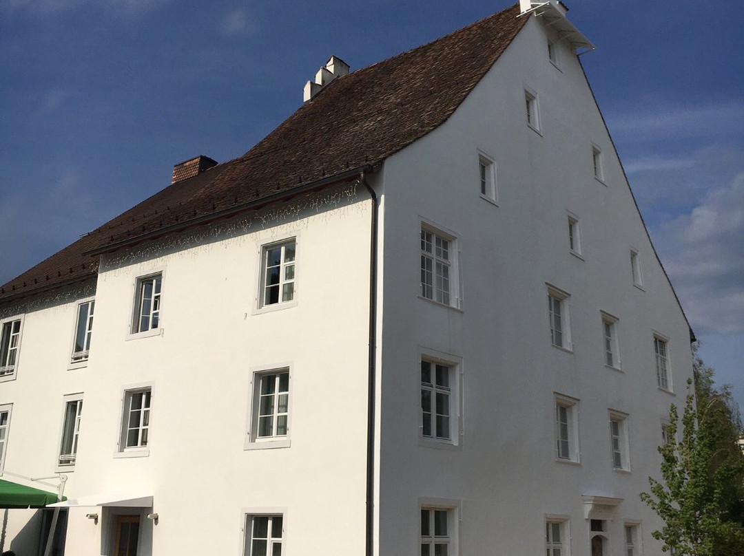 巴塞尔酒店住宿-Hotel Schloss Binningen