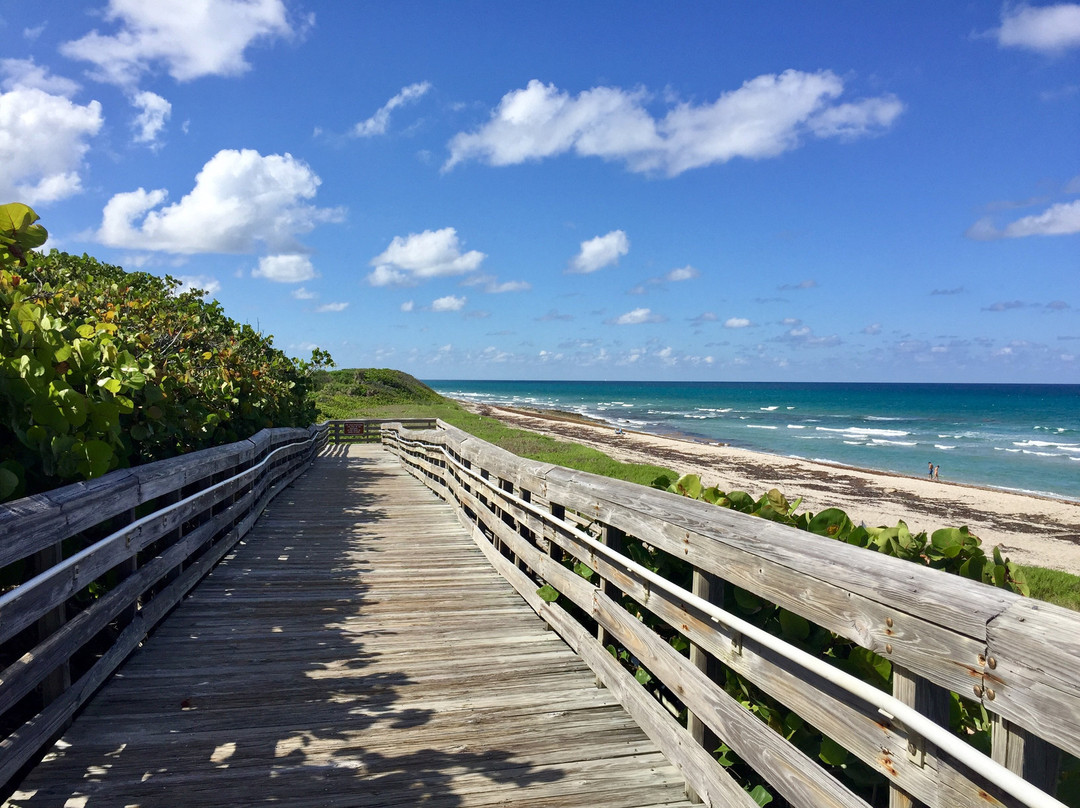 North Palm Beach旅游景点-John D. MacArthur Beach State Park