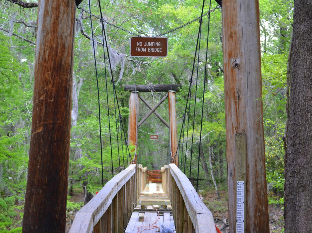 O'Leno State Park景点图片