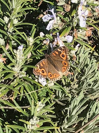 Railway Station-Bridgewater on Loddon必去景点