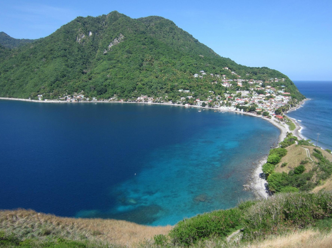 Soufriere Scottshead Marine Reserve景点图片