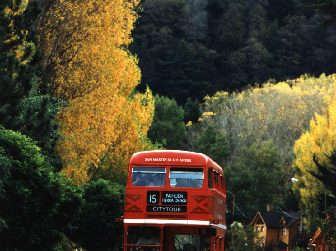 Redbus Citytour