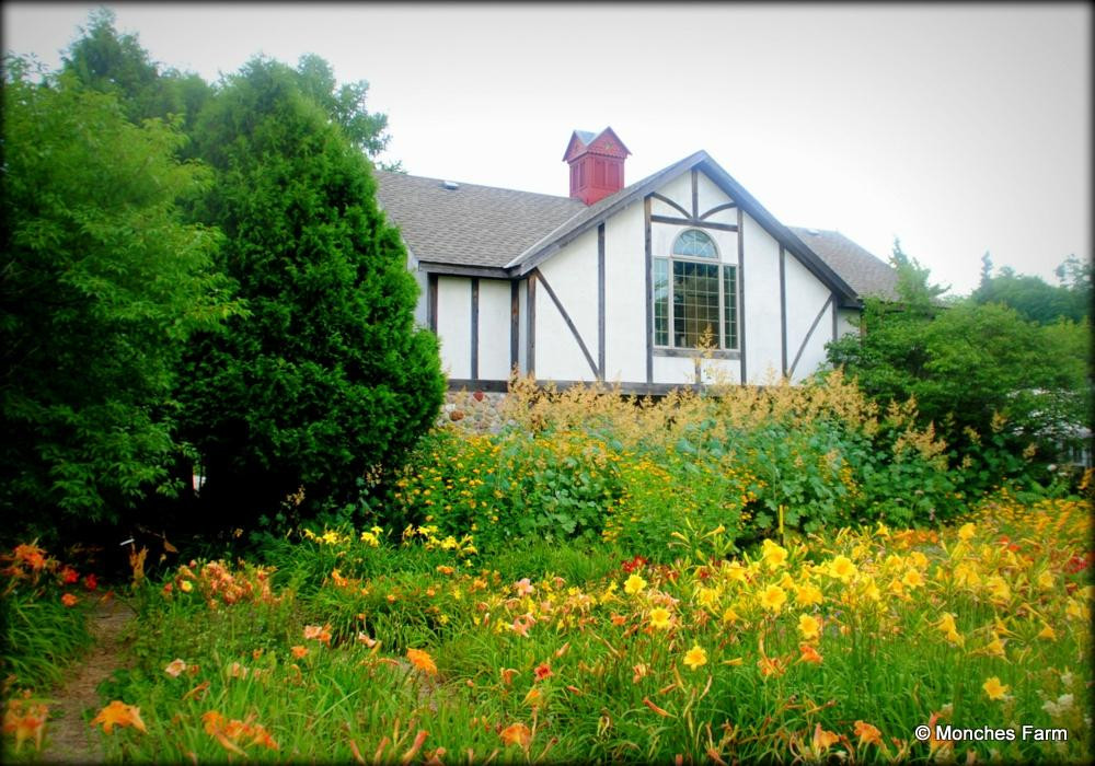 North Lake旅游景点-Monches Flower Farm