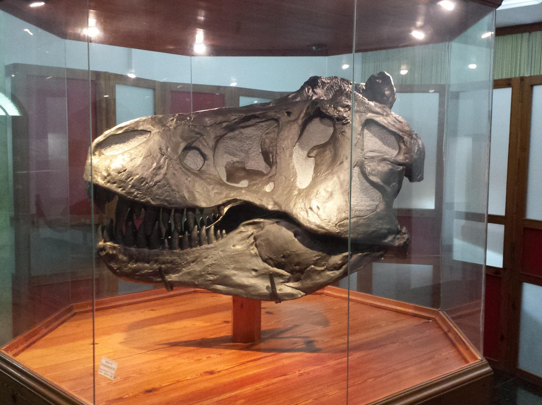 Natural History Academic Museum